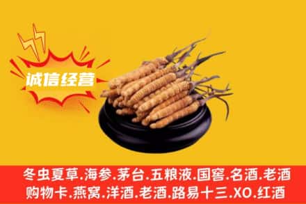 天祝县回收冬虫夏草